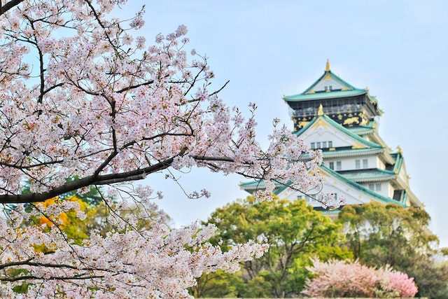 Picturesque view of Japan’s famous cherry blossom with a traditional building in the background.