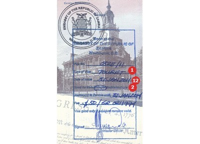 Actual Travel Visas Samples